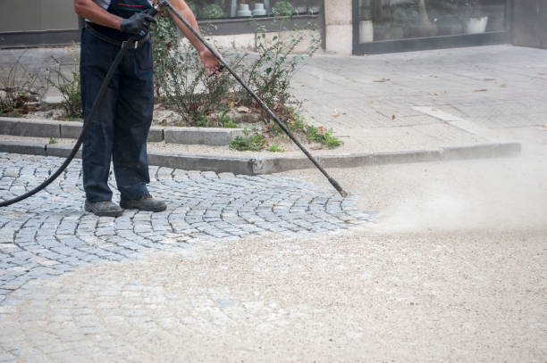 Best Concrete Surface Cleaning in Porter Heights, TX